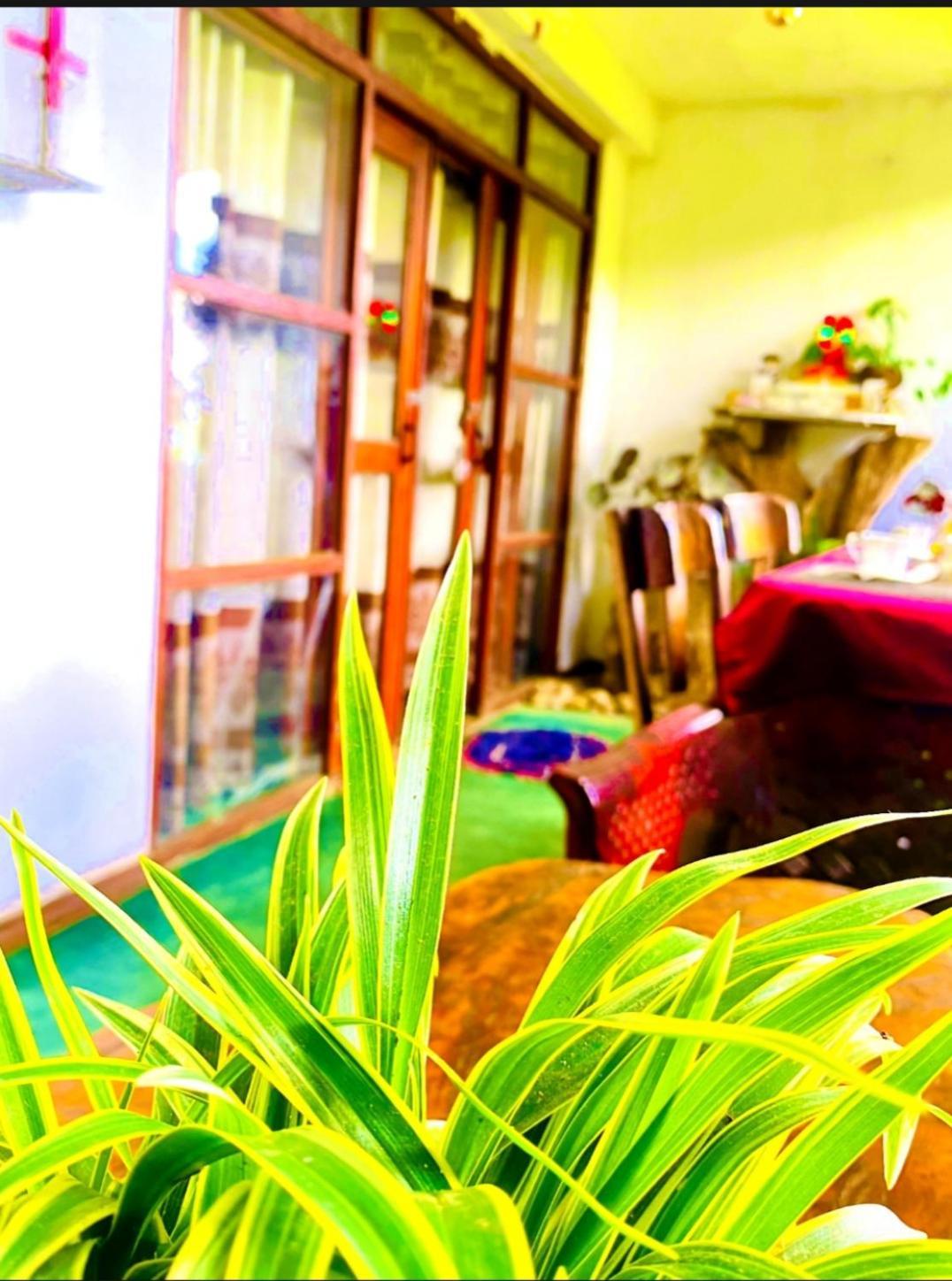 Dream Nest Apartment เอลลา ภายนอก รูปภาพ