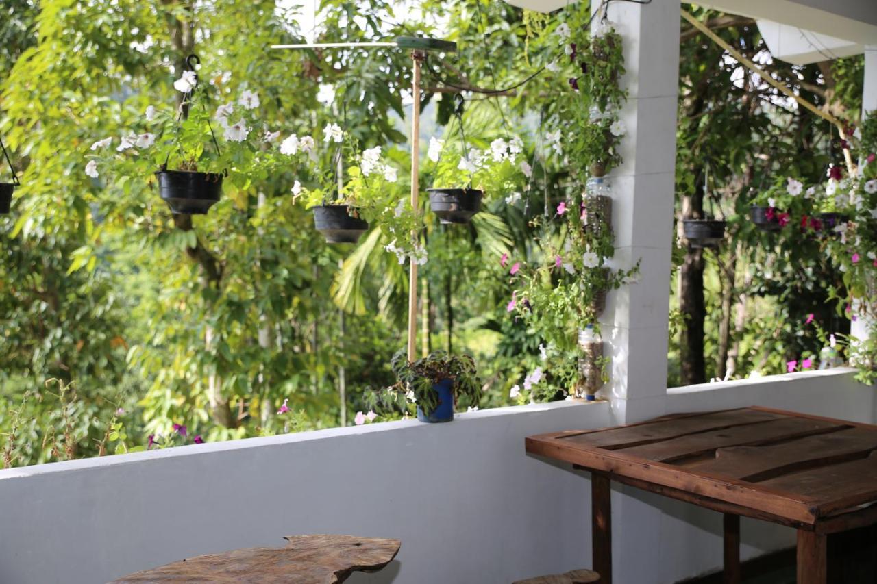 Dream Nest Apartment เอลลา ภายนอก รูปภาพ